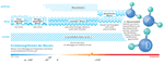 Infografik: Eigenschaften des Wassers / Großansicht bei: DIE ZEIT 49/03