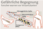 Infografik: "Gefährliche Begegnung. Forscher waren vor Virusmutanten"