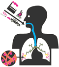 Infografik: Feinstaub: Je feiner, desto gesundheitsschädlicher / Großansicht online in: DIE ZEIT Nr.19/ 4.5.05