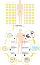 Infografik: 