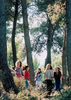 Botschafter der Umwelt Wald Kinder