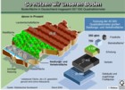 Bodenflche in Deutschland; Nutzungsarten; Wald, Landwirtschaft, Siedlungsflche, Verkehrsflche; Wasserflchen / Infografik Globus 0543 vom 17.03.06 