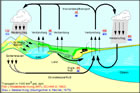 Wasserkreislauf: Infografik bei dkrz.de