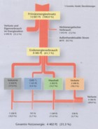 Energieflussbild 2007: BWK-Grafik