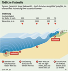 Seebeben/ Tsunami,  Chile 27.02.2010: Groansicht bei spiegel.de