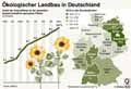  Globus Infografik 4828