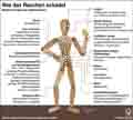 Rauchen; Folgen; Krankheiten; Herz, Kreislauf, Druesen; Organe; Knochen; Blut / Infografik Globus 5216 vom 20.09.2012 