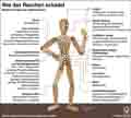 Rauchen; Folgen; Krankheiten; Herz, Kreislauf, Druesen; Organe; Knochen; Blut / Infografik Globus 5216 vom 20.09.2012