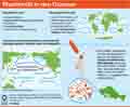  Globus Infografik 5510
