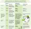 Alternativen zu Benzin und Diesel; Autogas; Erdgas; Biogas; Bioethanol; Biodiesel; Plfanzenöl; Umrüstung; Nachrüstung; Tankstellennetz / Infografik Globus 5531 vom 28.02.2013