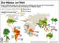  Globus Infografik 10605