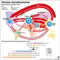  Globus Infografik 10900
