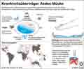 Aedes-Mcke: Globus Infografik 11023/ 26.05.2016