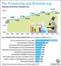 Globus Infografik 11025