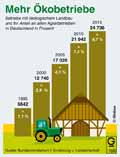  Globus Infografik 11686