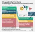  Globus Infografik 13394