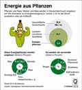 Globus Infografik 14219