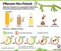  Globus Infografik 14428
