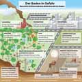  Globus Infografik 14467
