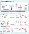  Globus Infografik 15105