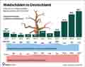  Globus Infografik 15287