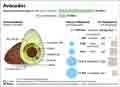  Globus Infografik 16880